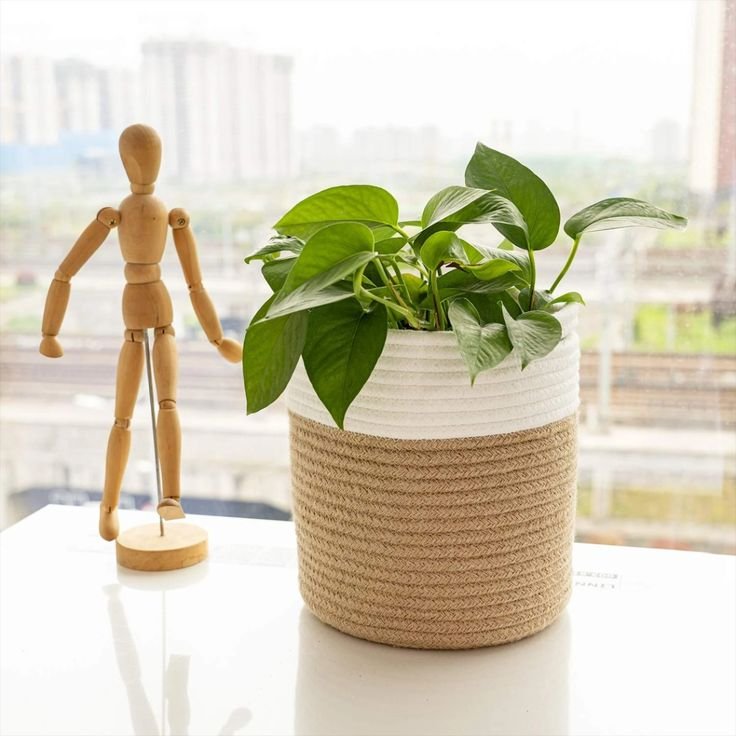 Bloom Haven Rope Planter